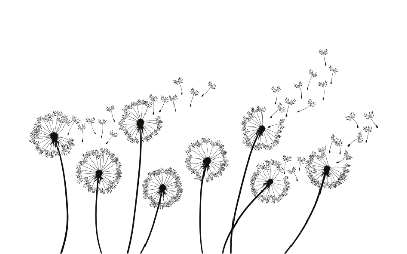 1000825284